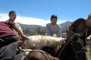 柯尔克孜族的工艺美术，柯尔克孜女子头饰 菊江历史网