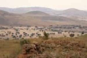 羌族历史，羌族沙窝子究竟是怎样来的 菊江历史网