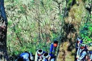 仡佬族文学，仡佬族的民间故事有哪些 菊江历史网