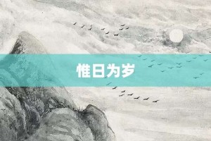 惟日为岁【惟日为岁的意思】- 成语大全