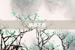 纲目不疏【纲目不疏的意思】- 成语大全
