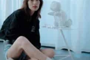 刘雯【中国女模特】 – 人物百科