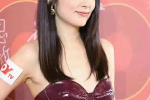 陈慧琳【中国香港

女歌手、演员、十大中文金曲最受欢迎女歌手】 – 人物百科