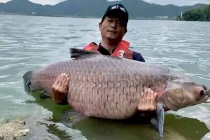 邓刚-垂钓大师【中国钓鱼运动协会技术推广技术总教练，武汉天元千川渔具有限公司执行董事兼总经理】 – 人物百科