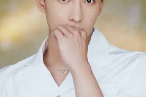 杨洋【中国内地影视男演员】 – 人物百科