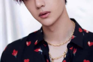 王一博【中国内地流行乐男歌手、演员、男子演唱组合UNIQ成员、职业摩托车赛车手】 – 人物百科