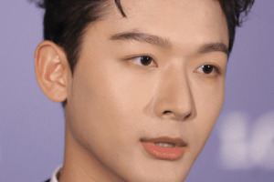 张晚意【中国内地影视男演员】 – 人物百科