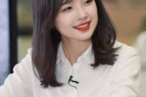 王冰冰【中国内地记者、up主、主持人】 – 人物百科