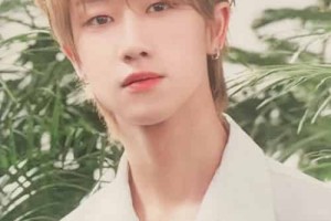 徐明浩【艺名The8，中国流行乐男歌手,韩国男子组合Seventeen成员 】 – 人物百科