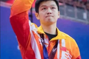 樊振东【中国乒乓球运动员,2023年德班世乒赛男单冠军】 – 人物百科