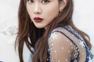 王霏霏【中国内地女歌手、演员、主持人】 – 人物百科