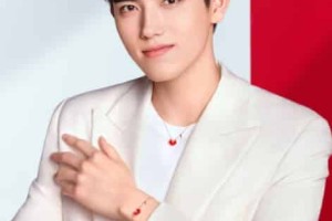 陈飞宇【中国内地男演员、配音演员，导演陈凯歌和演员陈红之子】 – 人物百科