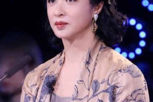 金星【中国女舞蹈家、脱口秀主持人、演员、导演】 – 人物百科