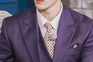 李硕珉【韩国男歌手，男子演唱组合SEVENTEEN成员】 – 人物百科