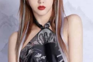 弦子【本名张弦子、中国流行乐女歌手、演员】 – 人物百科