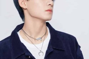 姚琛【中国内地流行乐男歌手，男子演唱组合R1SE成员】 – 人物百科