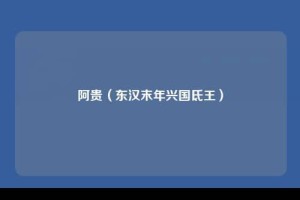 阿贵【东汉末年兴国氐王】 – 人物百科