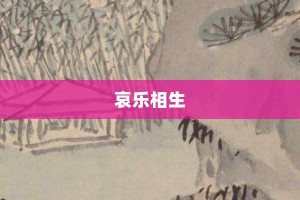 哀乐相生【哀乐相生的意思】- 成语大全