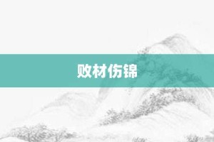 败材伤锦【败材伤锦的意思】- 成语大全