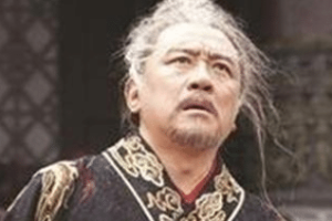 长平之战中赵王真的很傻吗？犯了哪些错？_古代战争 菊江历史网