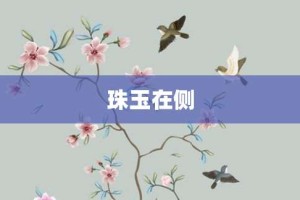 珠玉在侧【珠玉在侧的意思】- 成语大全