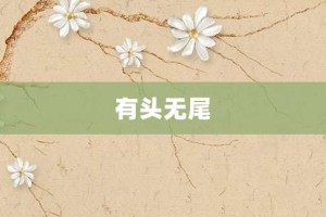 有头无尾【有头无尾的意思】- 成语大全
