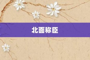 北面称臣【北面称臣的意思】- 成语大全