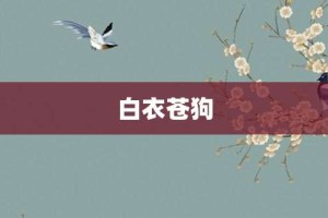 白衣苍狗【白衣苍狗的意思】- 成语大全