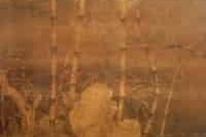 徐熙【中国南唐画家，人称徐家野逸】 – 人物百科