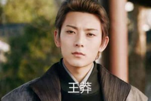 王莽是怎么被推翻的，王莽把土地分给平民为啥还有平民起义_稗官野史 菊江历史网