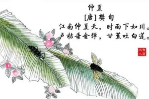 古人对夏天的雅称都有哪些_稗官野史 菊江历史网