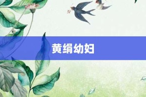 黄绢幼妇【黄绢幼妇的意思】- 成语大全