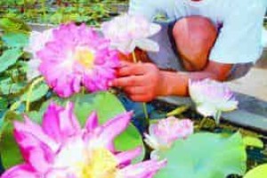 丁跃生【丁跃生】 – 人物百科