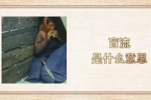 盲流是什么意思_稗官野史 菊江历史网