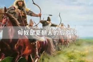 匈奴是夏朝人的后裔吗_稗官野史 菊江历史网