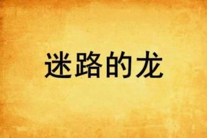迷路的龙【创世中文网签约作者】 – 人物百科