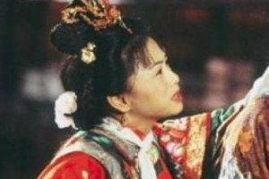 康熙为什么把建宁公主的丈夫儿子杀掉让她成了一个孤家寡人？_帝王野史 菊江历史网