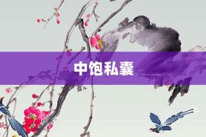 中饱私囊【中饱私囊的意思】- 成语大全