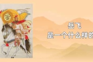 岳飞是一个什么样的人_稗官野史 菊江历史网