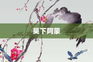 吴下阿蒙【吴下阿蒙的意思】- 成语大全