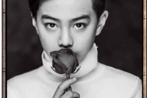 徐王子【中国内地男演员】 – 人物百科