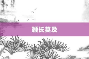 鞭长莫及【鞭长莫及的意思】- 成语大全