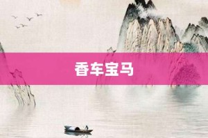 香车宝马【香车宝马的意思】- 成语大全