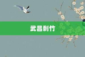 武昌剩竹【武昌剩竹的意思】- 成语大全
