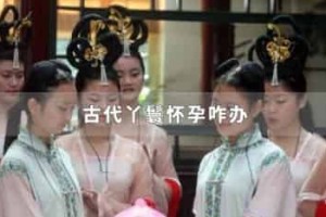 古代丫鬟怀孕咋办_稗官野史 菊江历史网