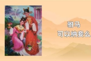 驸马可以纳妾么_稗官野史 菊江历史网