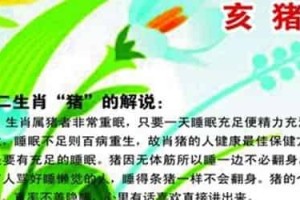 为何十二生肖中猪排最末位？_上古历史 菊江历史网