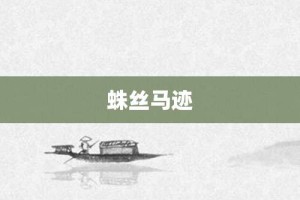 蛛丝马迹【蛛丝马迹的意思】- 成语大全