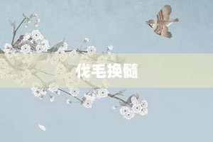伐毛换髓【伐毛换髓的意思】- 成语大全