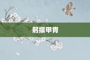 躬擐甲胄【躬擐甲胄的意思】- 成语大全